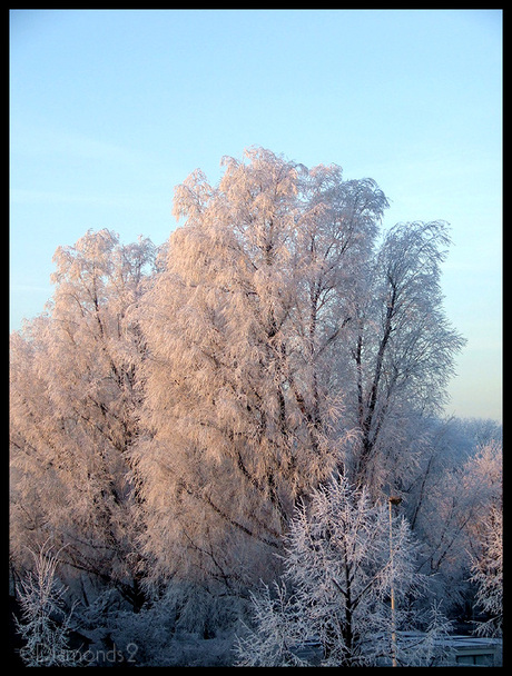 Winterfoto
