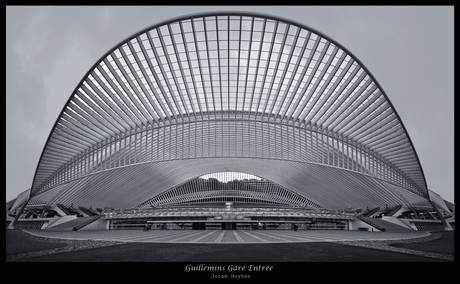 Guillemins Gare Entree