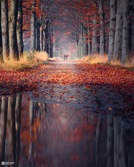 Early autumn walk