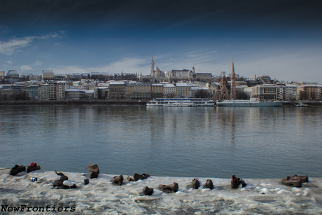 Joods monument - Budapest