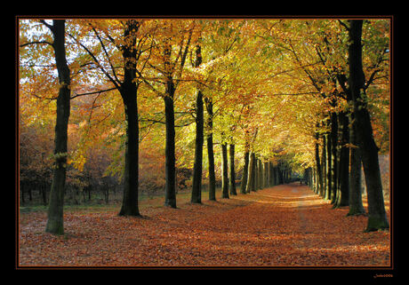 Herfst in Baarn