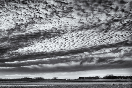 Veel wolken