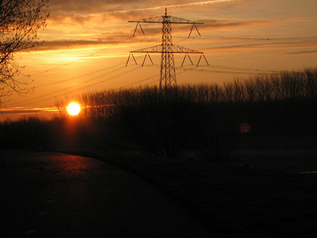 Voorjaars zon in de ochtend