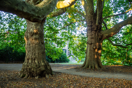 Zicht op kasteel Geldrop