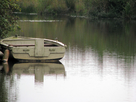 Bootje in de vijver