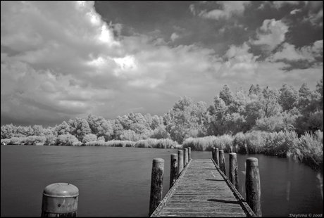 Vogelplas Starrevaart (IR)