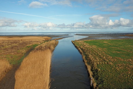 Landschapsfoto 