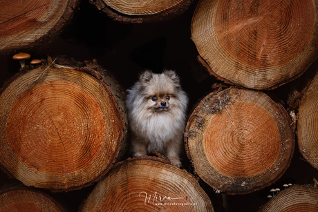 Herfst is coming ...