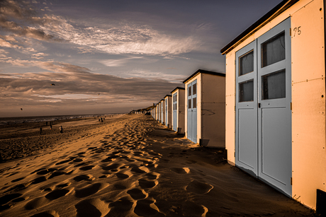 Texel