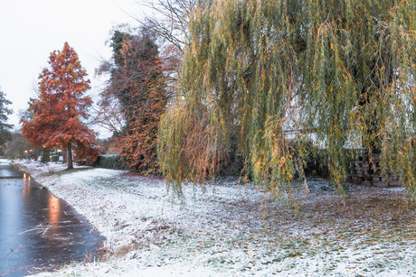 Herfskleuren in winterlandschap