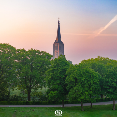 Martinikerk die boven de bomen uit torend