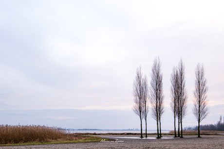 Strandje bij Elburg