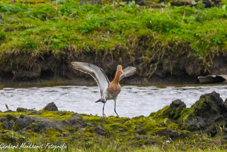 Geslaagde landing