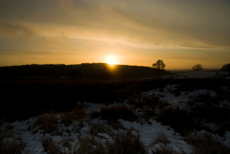 Zonopkomst besneeuwde Mookerheide