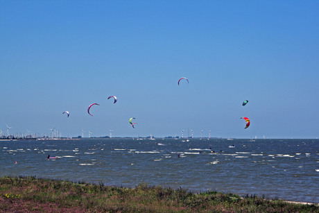 Para Surfing op het IJsselmeer