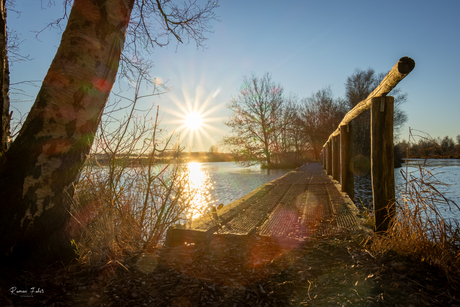 Natuurgebied De Deelen (Friesland)