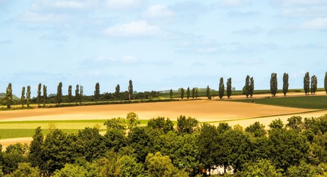 Toscane, maar dan wat dichterbij