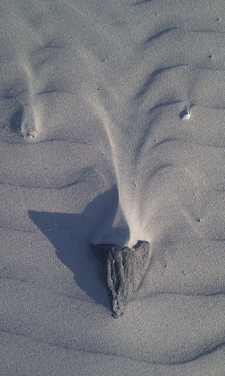 Schaduw op het strand 1