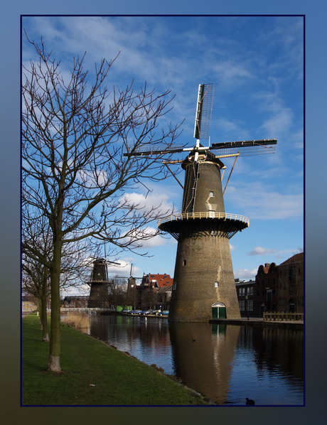 SCHIEDAM 7