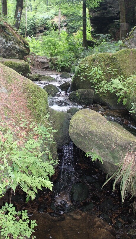 Mullertaltrail bij Beaufort, Luxemburg