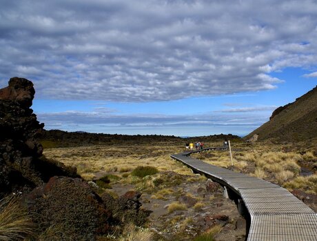 boardwalk