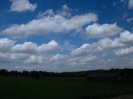 Cumulus mediocris (Cl2)