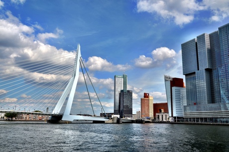 Erasmusbrug Rotterdam