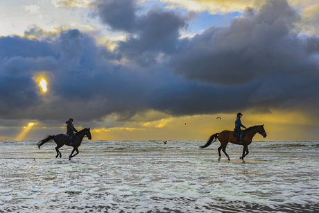 Ruiters op strand