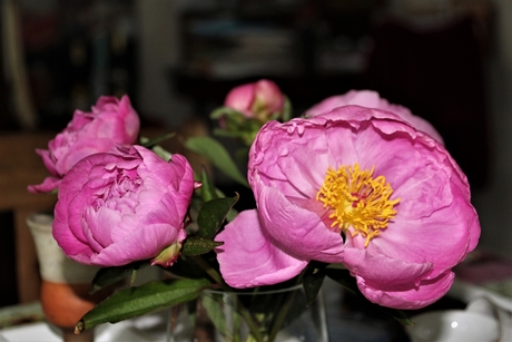 Bloemen op tafel