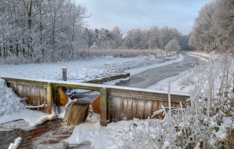 Winter in de Pannehoef