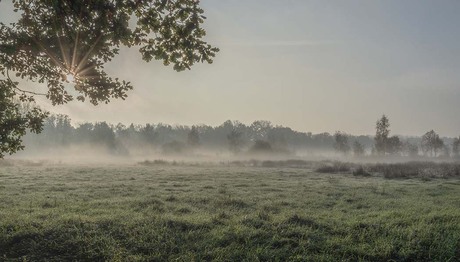 Koude ochtend
