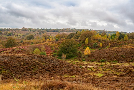 Herfst Posbank