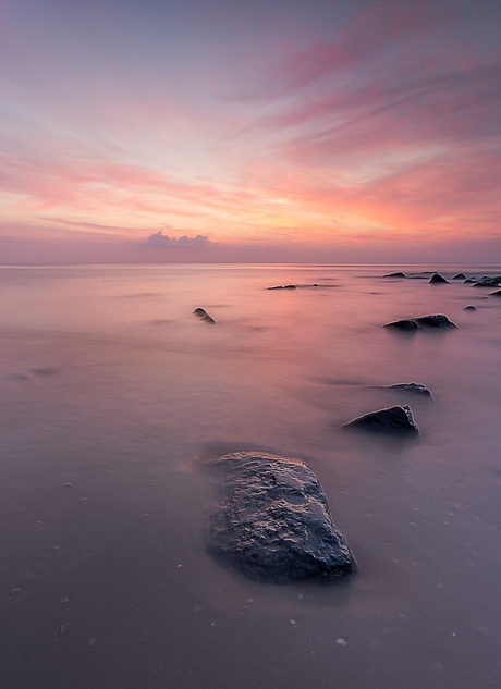 Purple beach