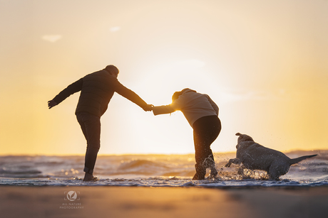 Fun at the beach