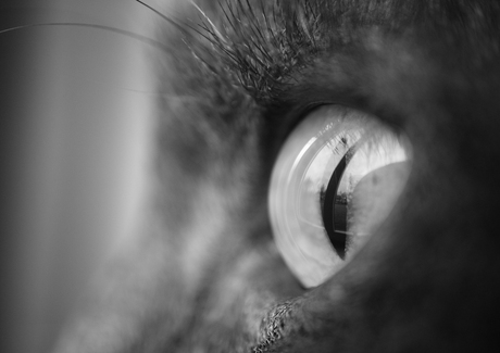 In focus