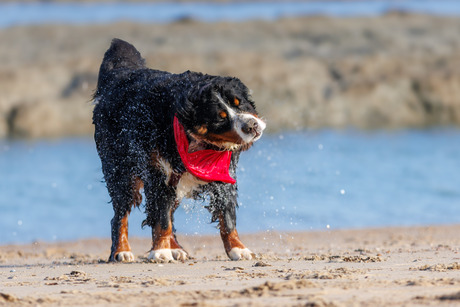 Lekker naar het strand