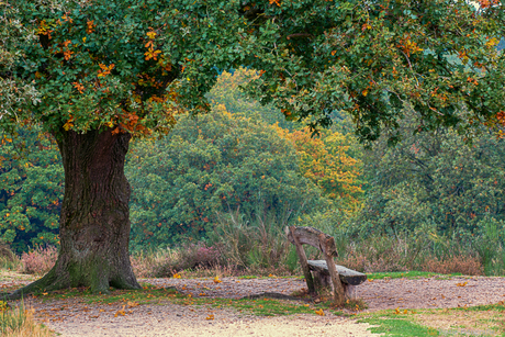 Even helemaal niks….