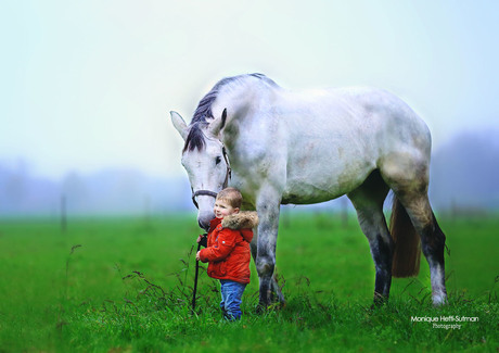 Liefde tussen kind en paard