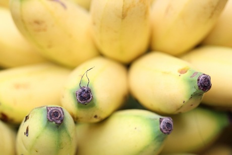 Balinese bananen op de markt