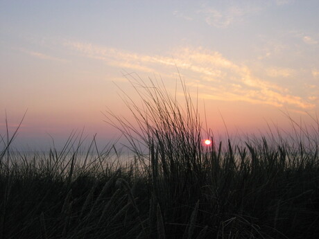 zomeravond