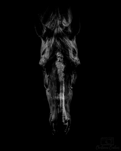 Alleen wie luistert, ziet haar ziel.