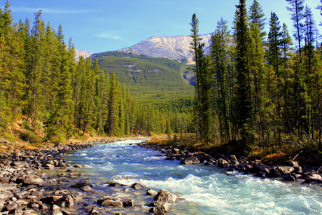 ATHABASCA RIVER