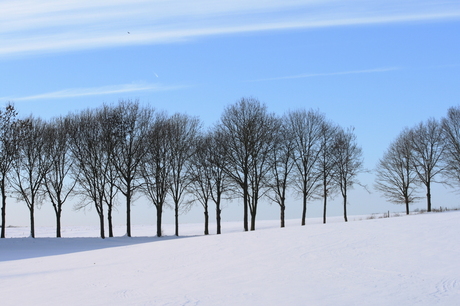 sneeuwlandschap Zuid Limburg