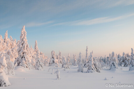 Finland, Iso-Syöte, winter 1