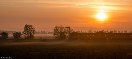 Golden train