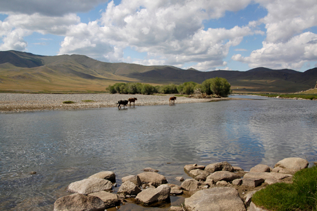 Rust en ruimte in Mongolie