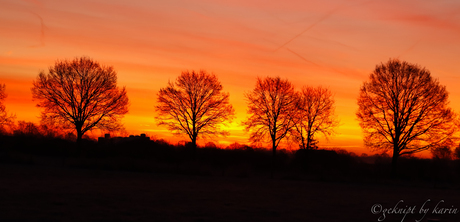 Prachtig licht in de ochtend.