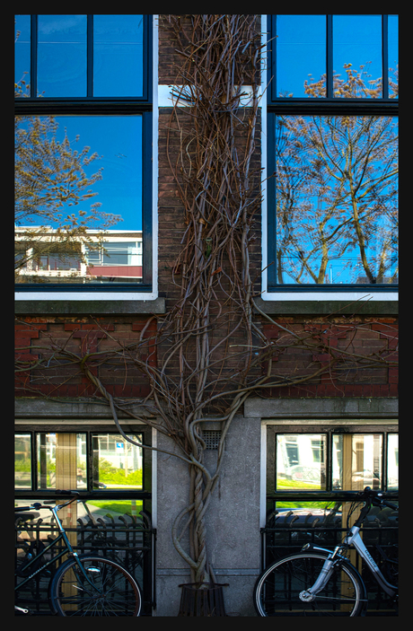 Weer zo'n vlakverdeling