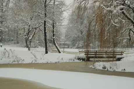 winter in Gorredijk