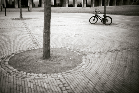 Fiets, Leidsche Rijn